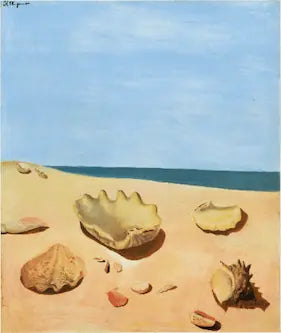 Seashells on a sandy beach with a clear blue sky