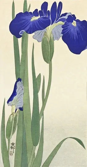 Artistic depiction of blue iris flowers with green leaves on a light background