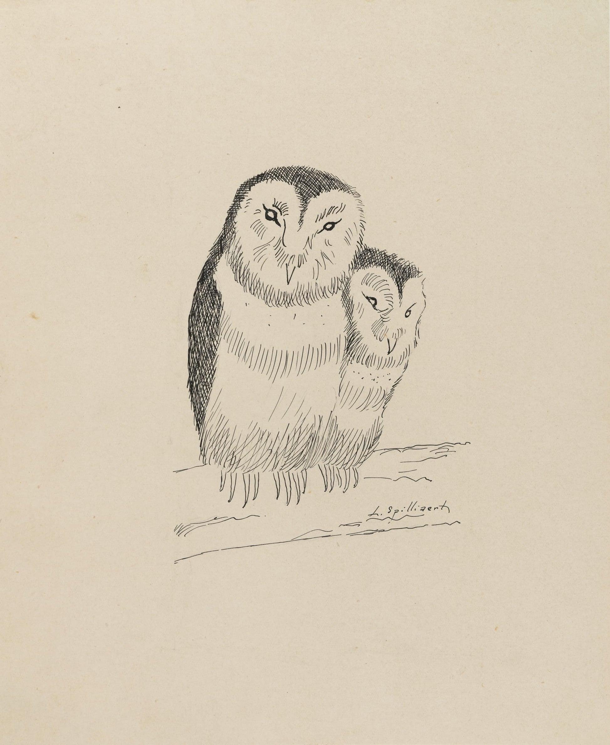 Illustration of two owls on a beige background