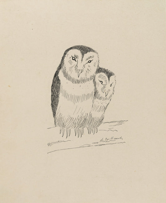 Illustration of two owls on a beige background