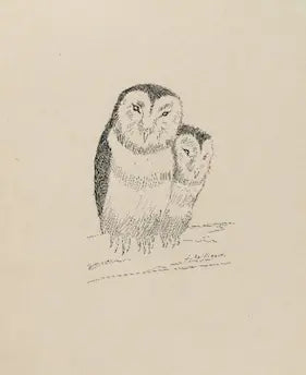 Illustration of two owls on a beige background