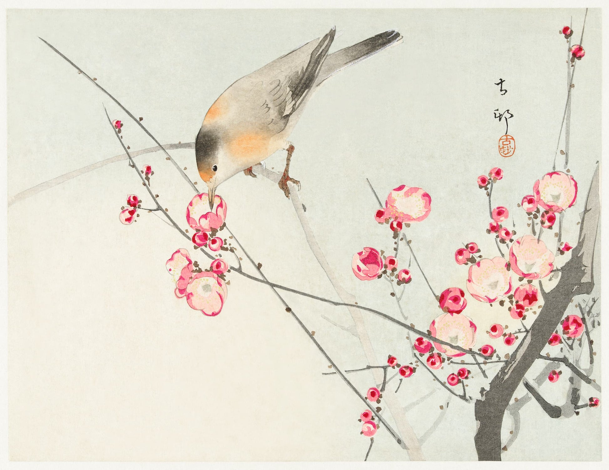 Traditional Japanese artwork of a bird perched on a branch with pink flowers
