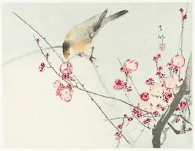Traditional Japanese painting of a bird on a branch with pink flowers