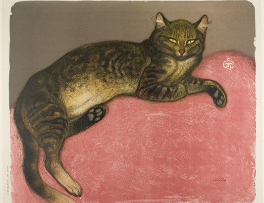 Illustration of a cat lying on a pink surface with a brown background
