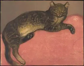 Cat lying on a pink surface with a neutral background