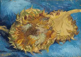Dried sunflower with a blue background, reminiscent of Van Gogh's style