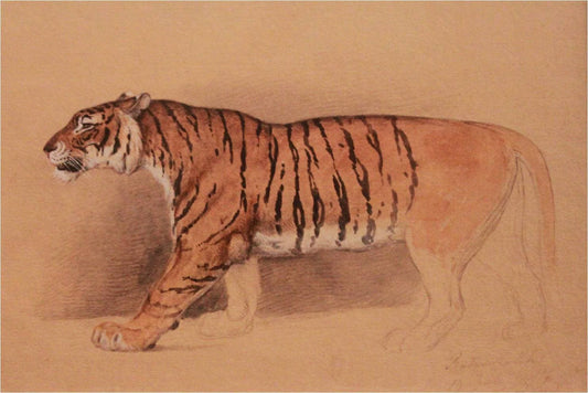 Artistic depiction of a tiger on a beige background