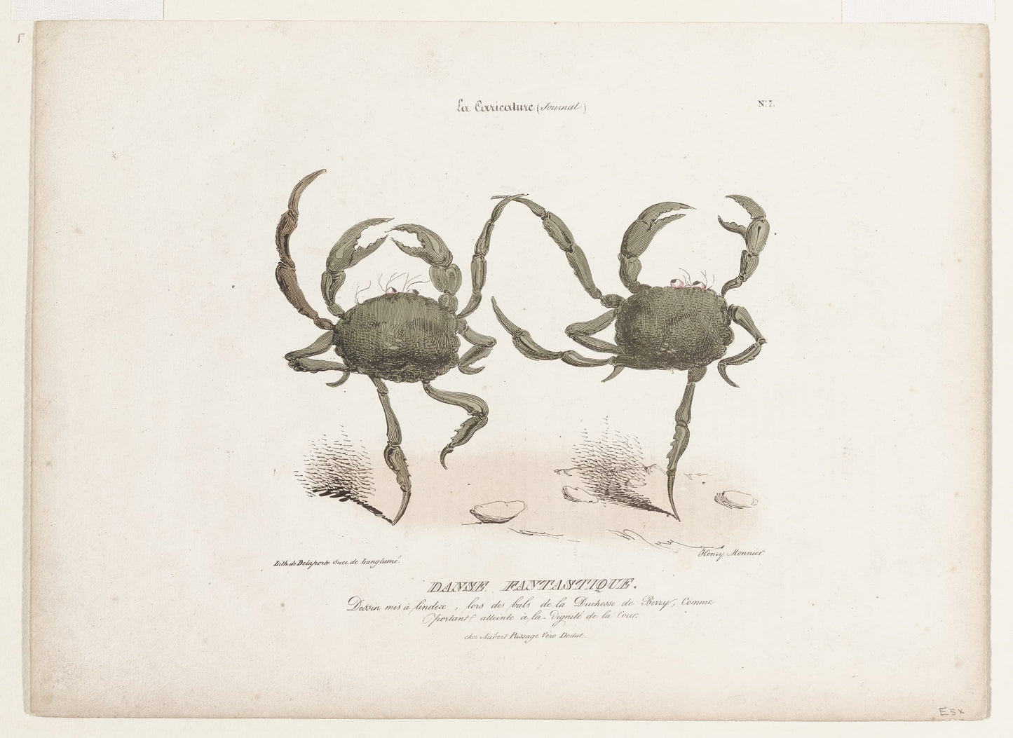 Vintage illustration of two crabs on a white background