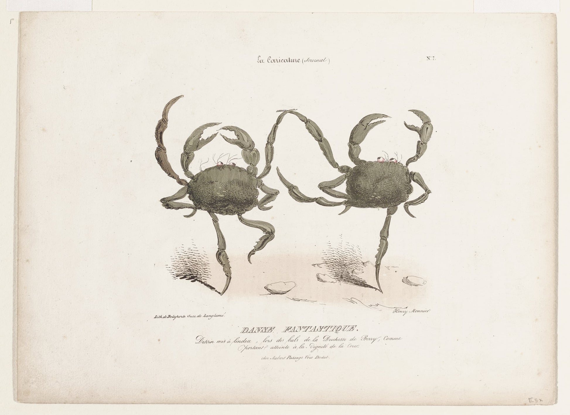 Vintage illustration of two crabs on a white background