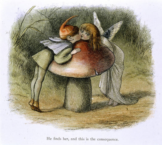 Illustration of a fairy and a gnome hugging on a mushroom with text at the bottom.