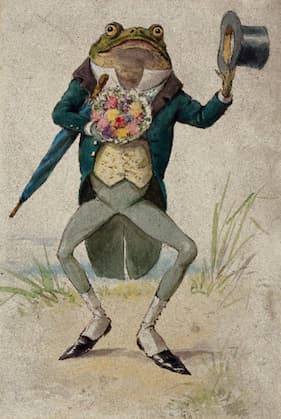 Frog in formal attire with a top hat and flower boutonniere on a textured background