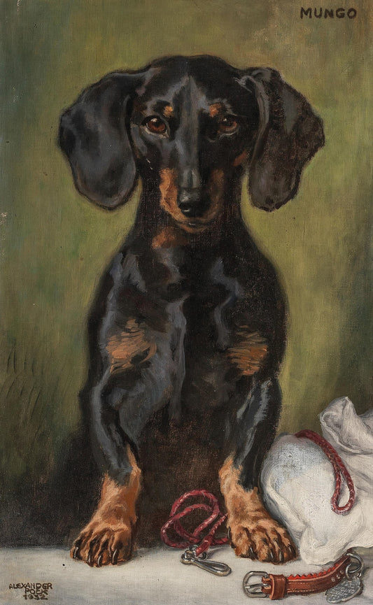 Painting of a dachshund with a green background