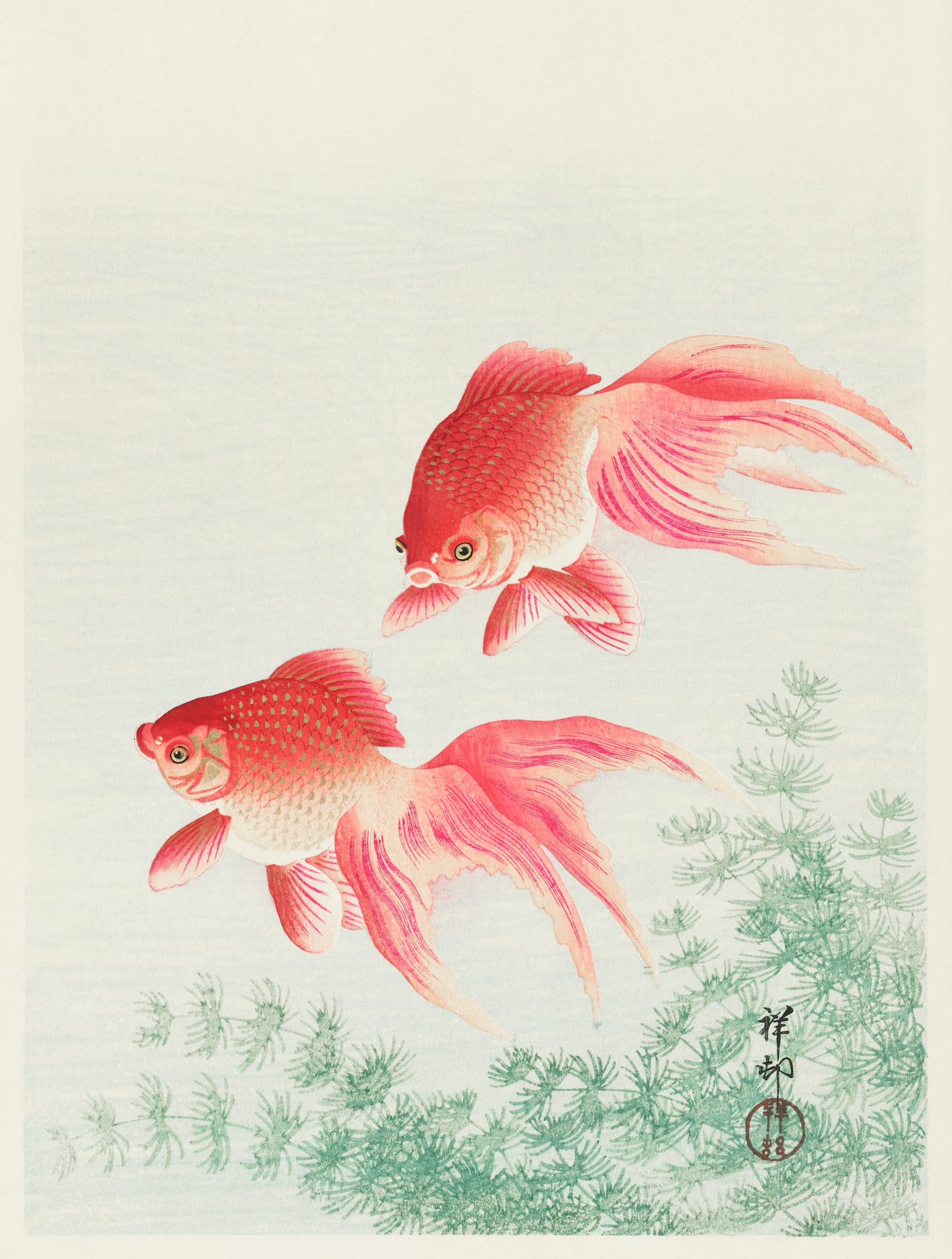 Artistic depiction of two goldfish with green plants on a light background