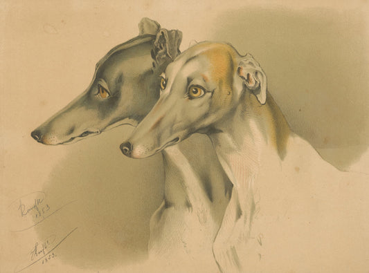 Two greyhounds in profile on a beige background