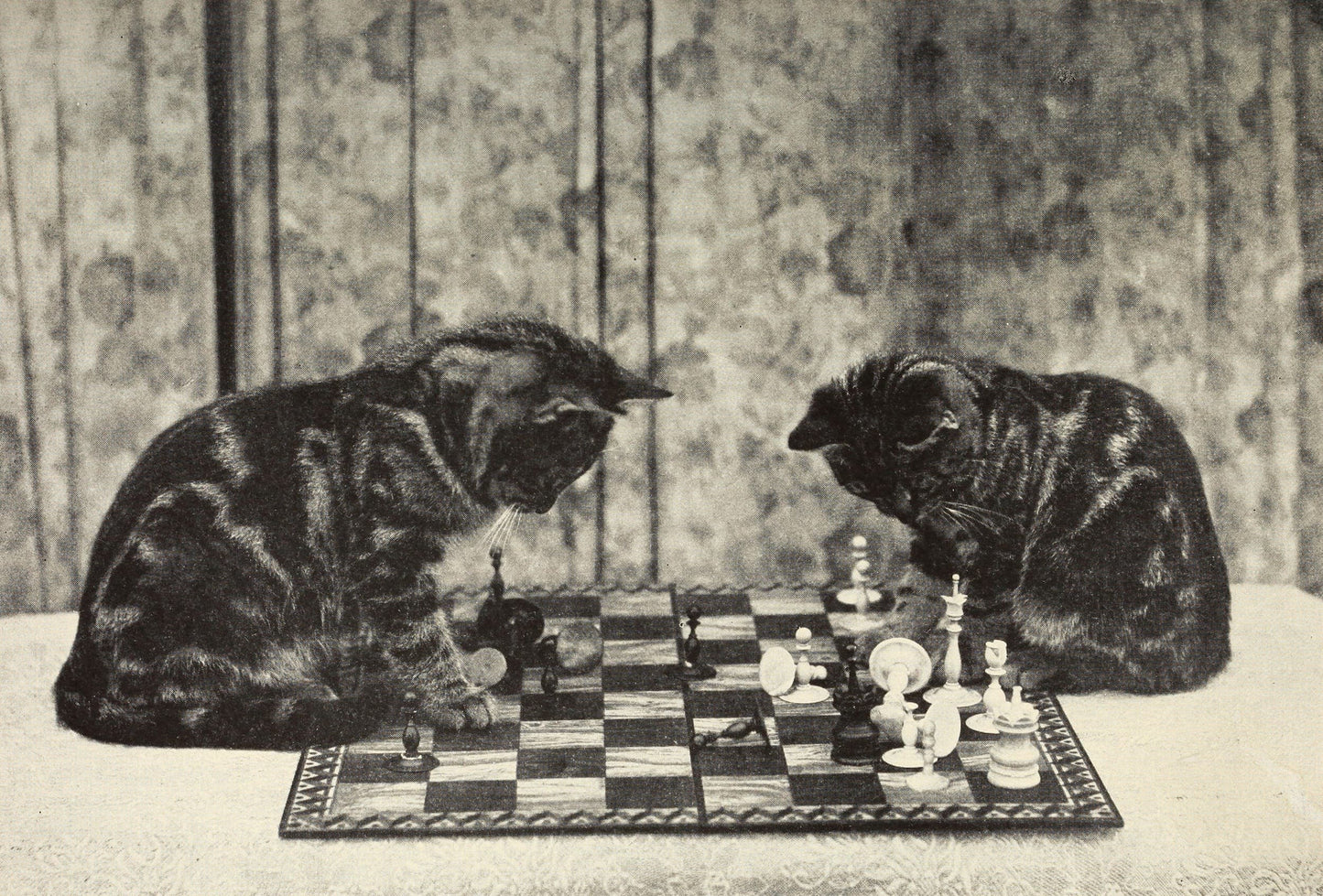 Two cats playing chess on a checkered board with a patterned wallpaper background.