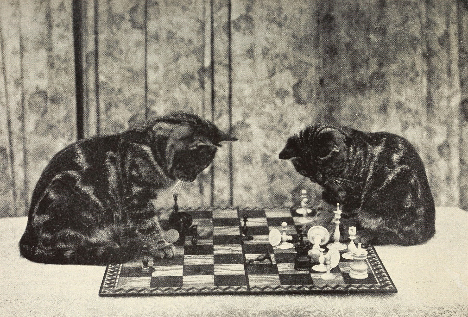 Two cats playing chess on a checkered board with a patterned wallpaper background.