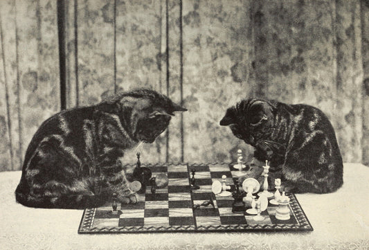 Two cats playing chess on a checkered board with a patterned wallpaper background.