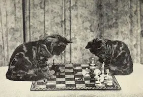 Two cats playing chess with a checkered board and pieces on a table.