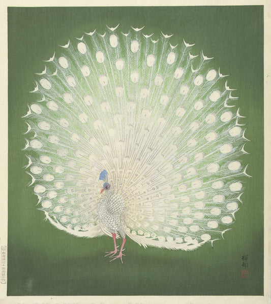 Artistic depiction of a peacock with its feathers spread wide on a green background
