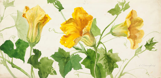 Illustration of yellow flowers and green leaves on a light background