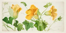 Illustration of yellow flowers with green leaves on a white background