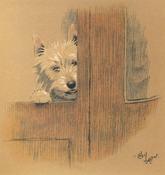 Westie dog (1912) | Cecil Aldin