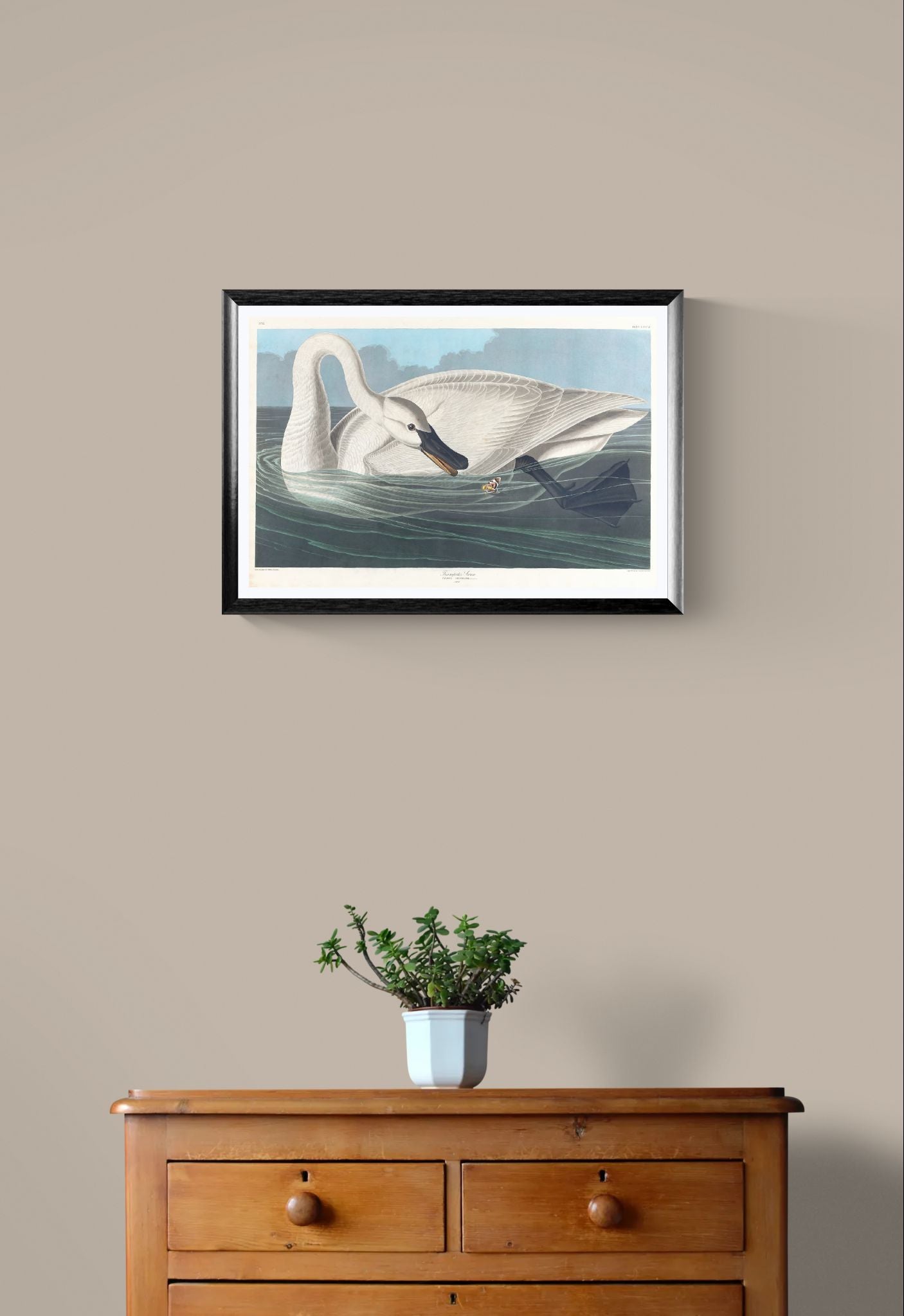 Framed artwork of a swan on a beige wall above a wooden dresser with a plant.