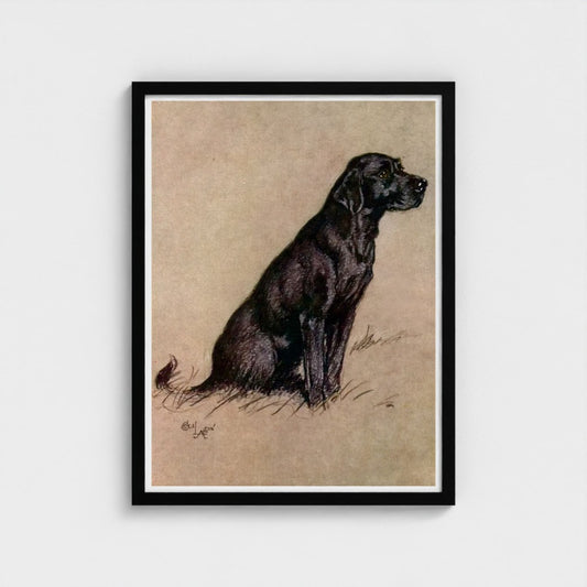 Framed artwork of a black dog on beige paper with a black frame.
