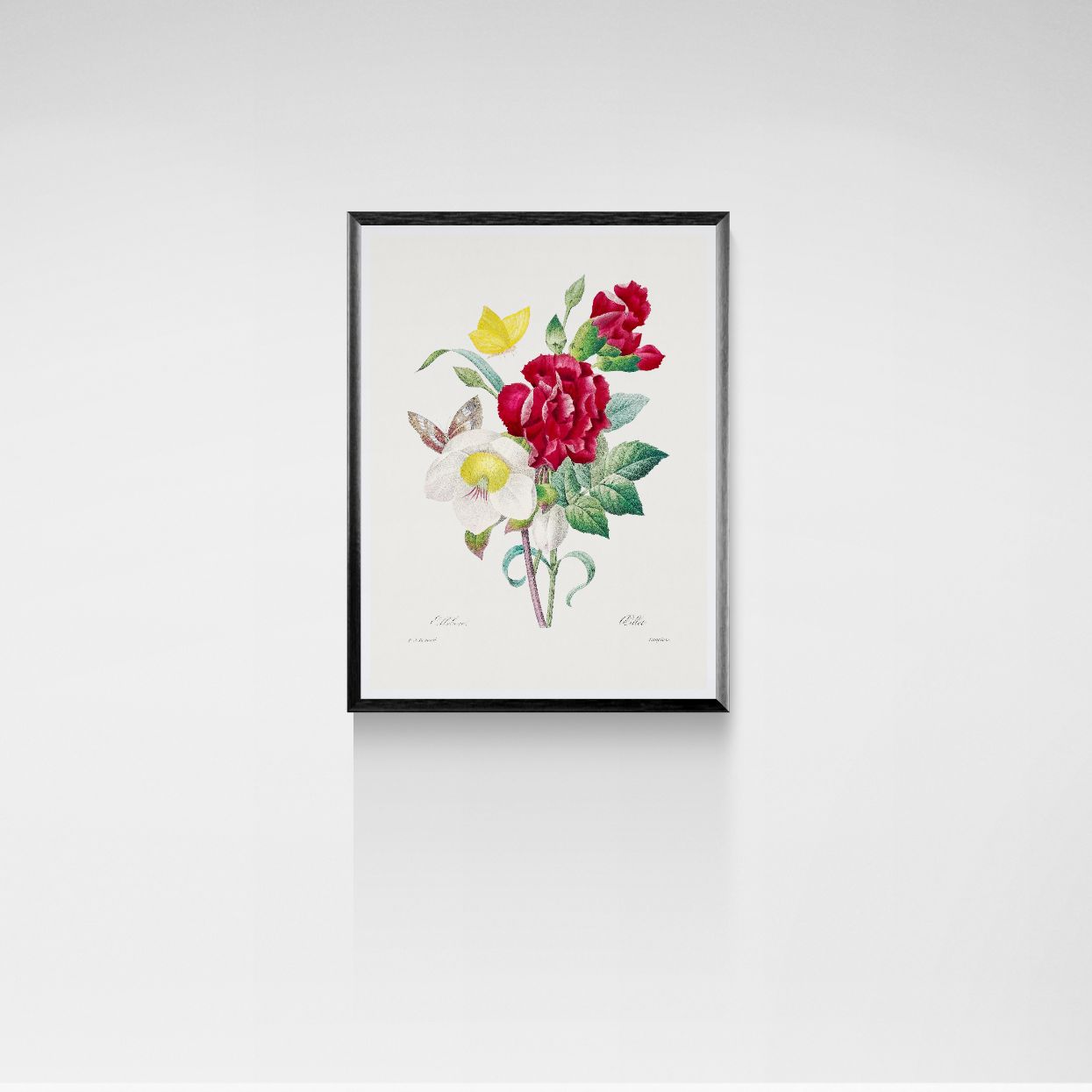 Framed floral artwork on a white wall