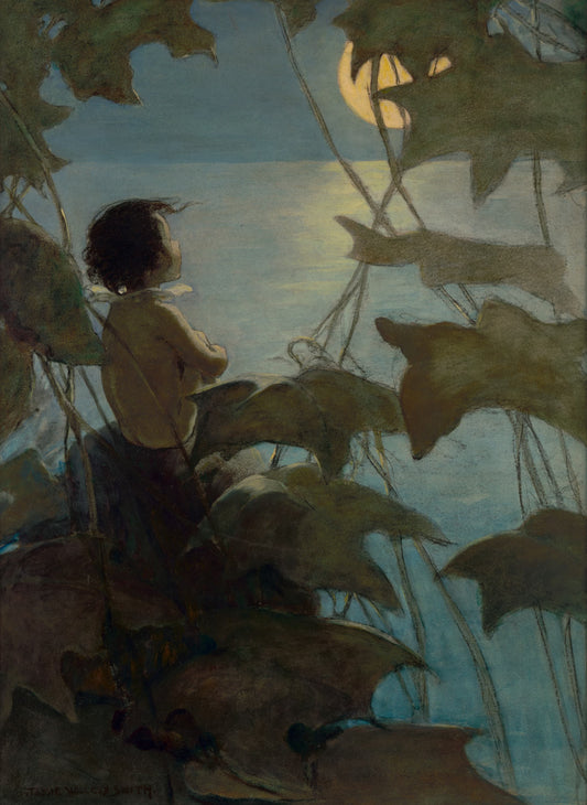 Child sitting among large leaves with a sunset or sunrise in the background
