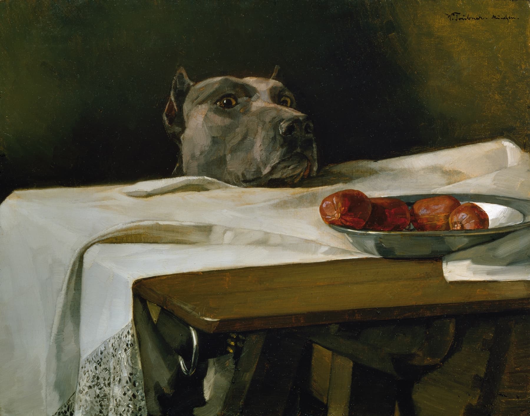Dog looking at a plate of plums on a table with a white cloth