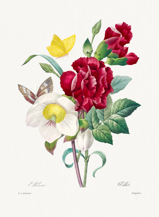 Illustration of a bouquet of flowers including red, white, and yellow flowers on a white background.