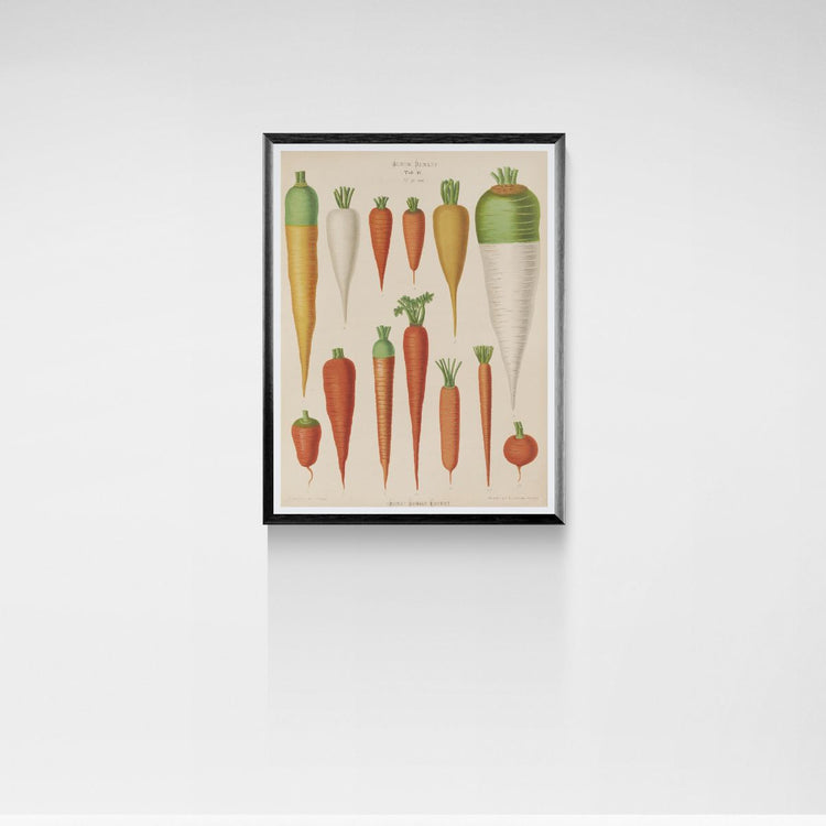 Framed artwork of carrots and radishes on a white wall