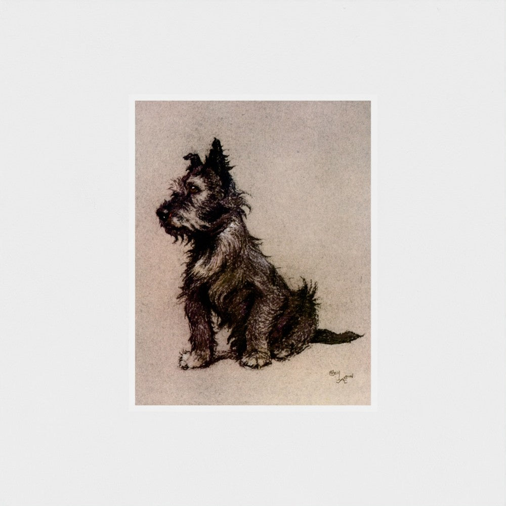 Brandy (1928) by Cecil Aldin – Vintage Terrier Illustration Print