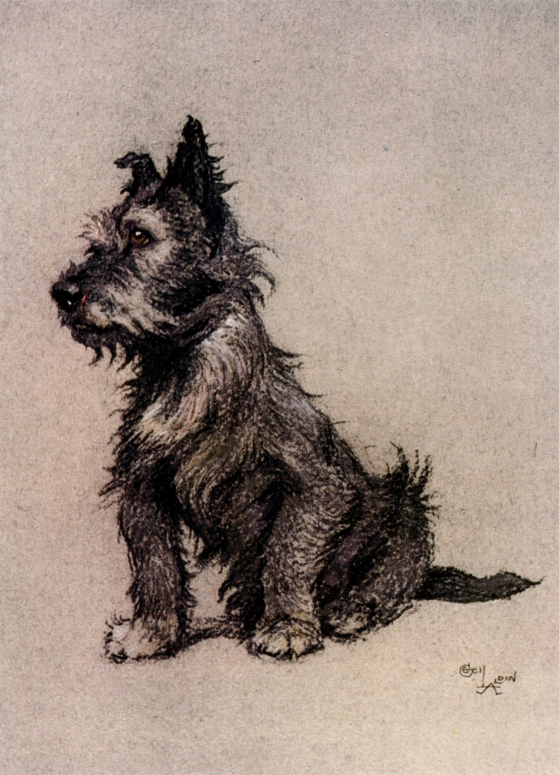 Detailed drawing of a dog on a textured beige background