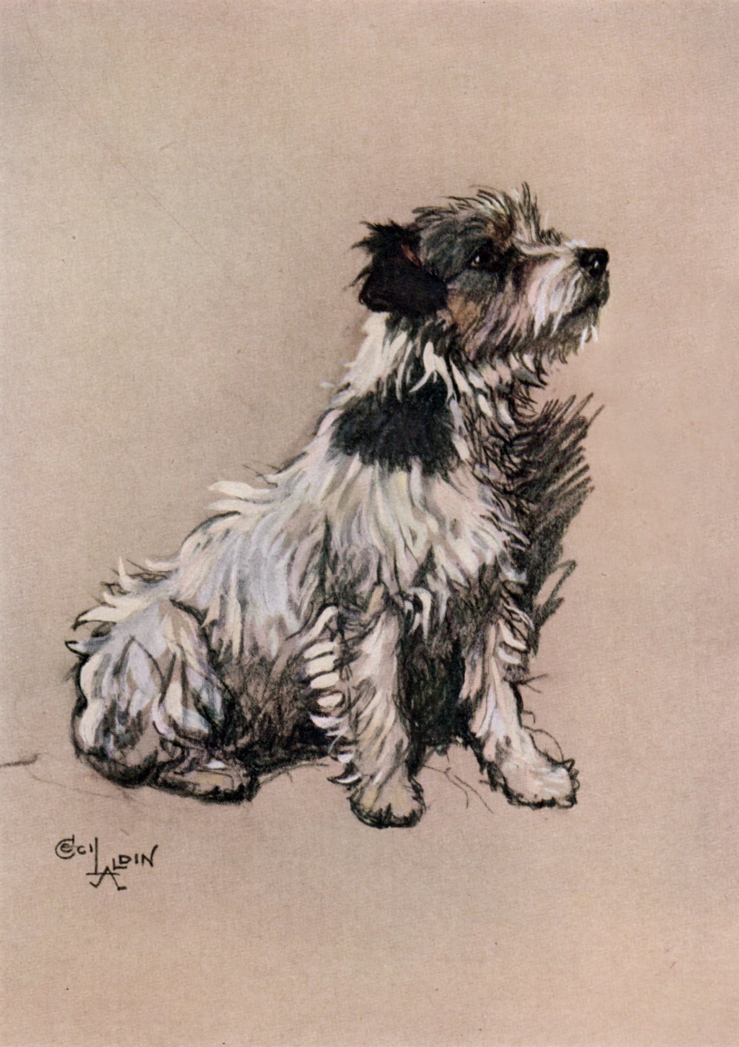 Artistic illustration of a dog sitting on a beige background