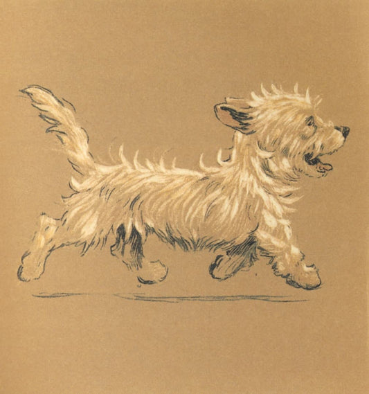 High quality Giclée reproduction of Cecil Aldin's 1912 drawing of a running West Highland Terrier, vintage Edwardian dog art.