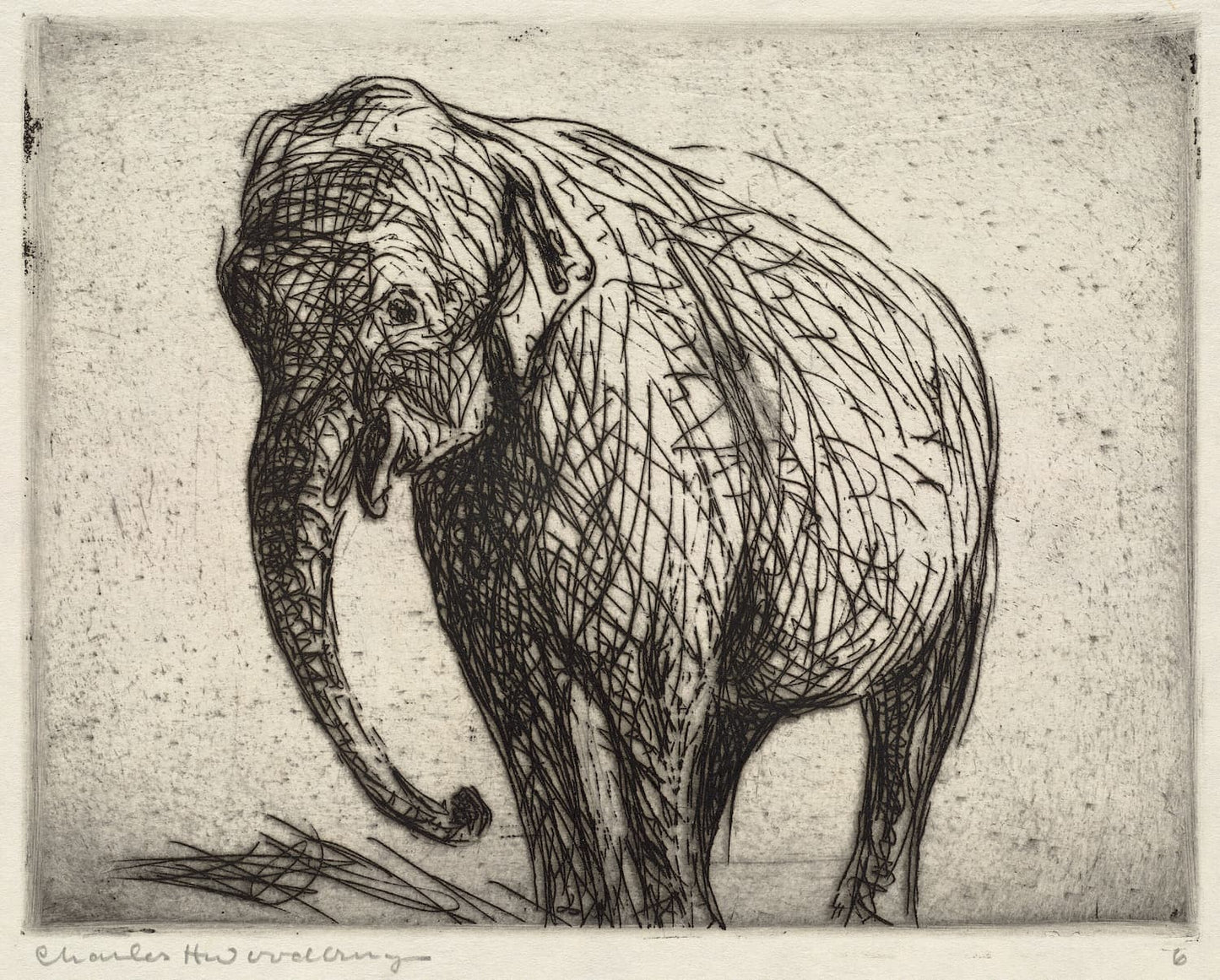 Museum-quality Giclée reproduction of Charles H. Woodbury's 1900s Elephant etching, featuring a large, gestural black and white image of an elephant, characteristic of the American Impressionist printmaking style.