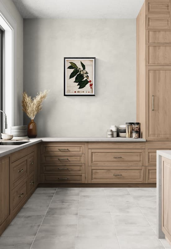Coffee Plant Botanical Print – 1700s Vintage Illustration Reproduction