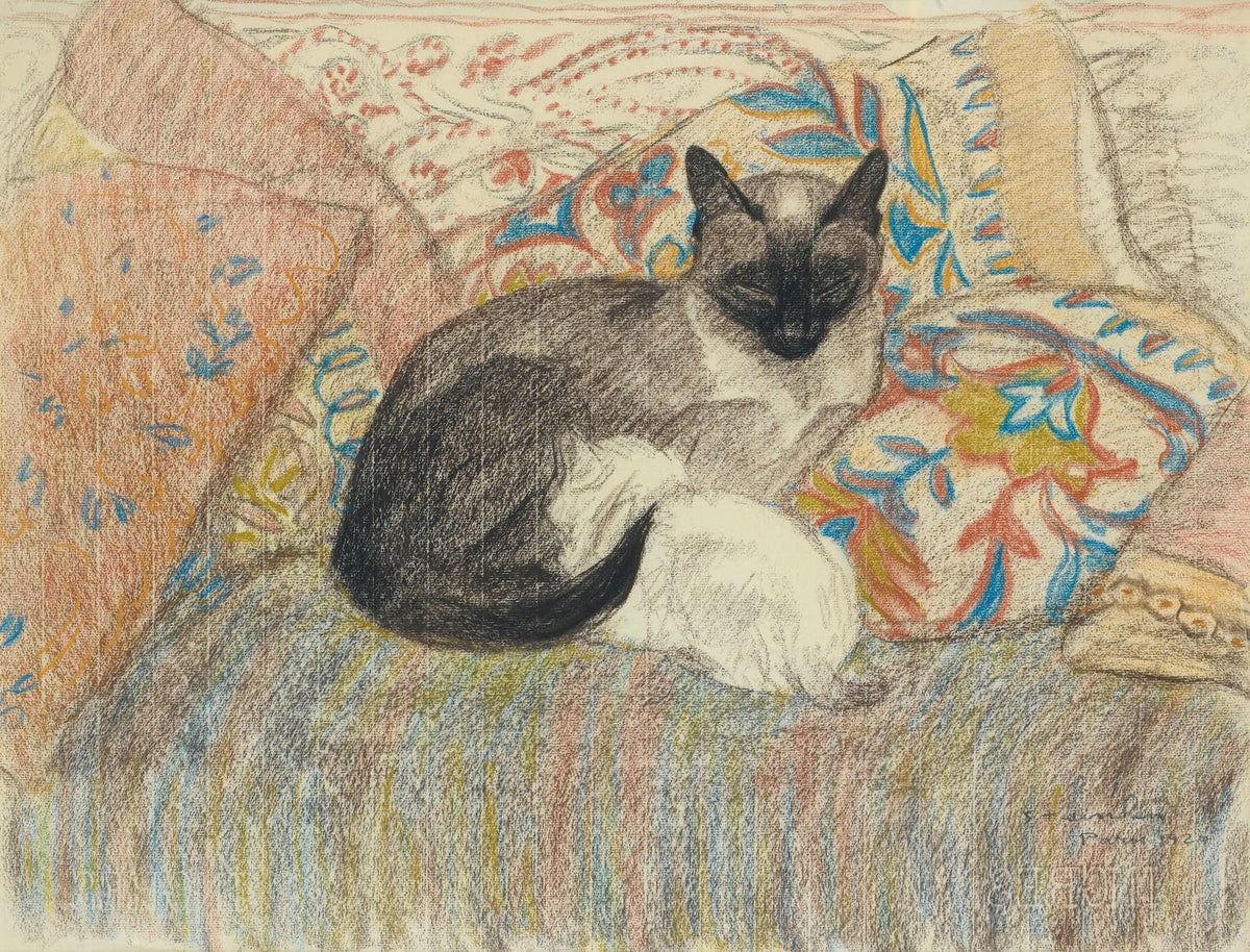 Cat lying on a patterned cushion with colored pencils