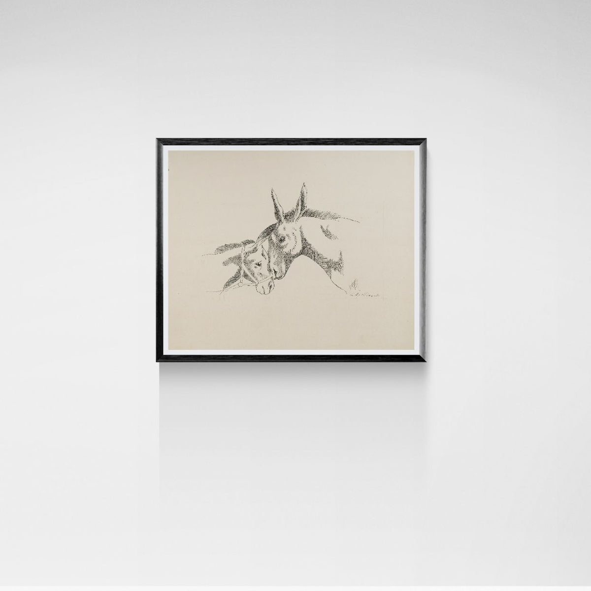 Framed artwork of two donkeys on a white wall