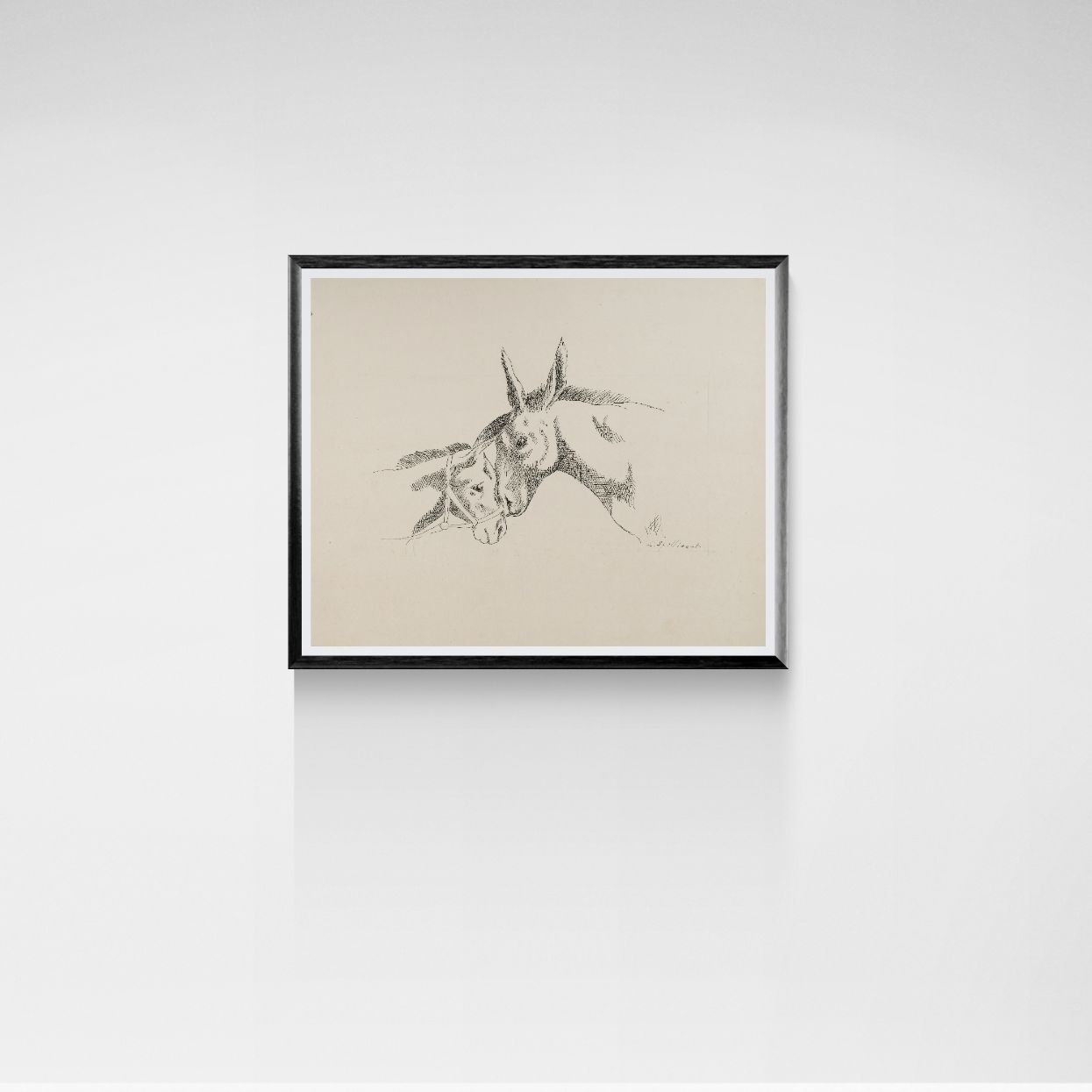 Framed artwork of two donkeys on a white wall