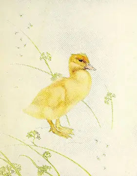 High-quality Giclée reproduction of Edward Julius Detmold's illustration of a single yellow duckling standing amongst reeds on a white background, vintage 1900s children's animal art.