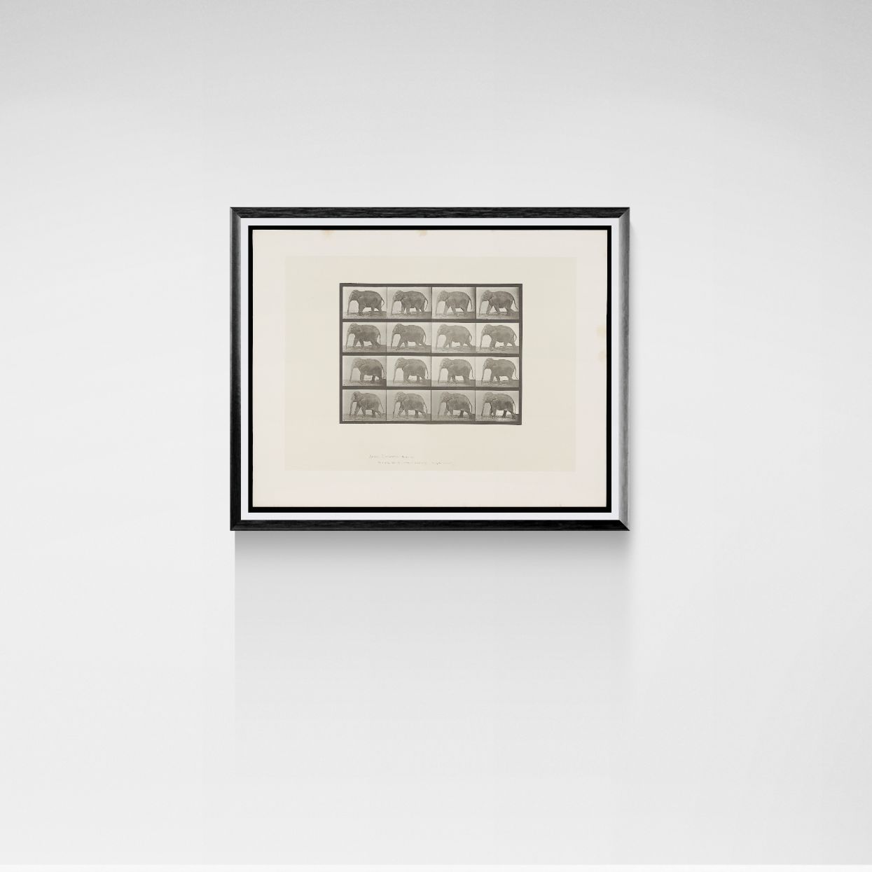 Framed artwork with elephant pattern on a white wall