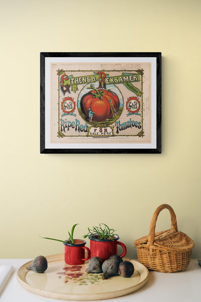 Githens & Rexsamer, Philadelphia (1800s) | Tomato poster