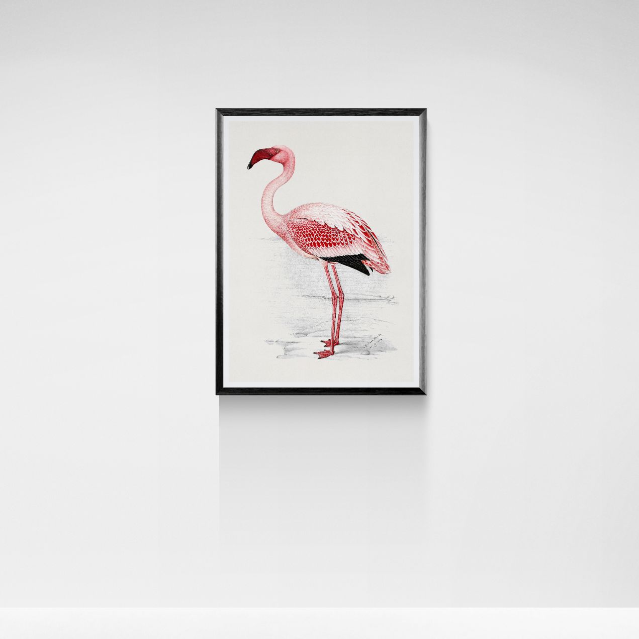 Framed artwork of a pink flamingo on a white wall