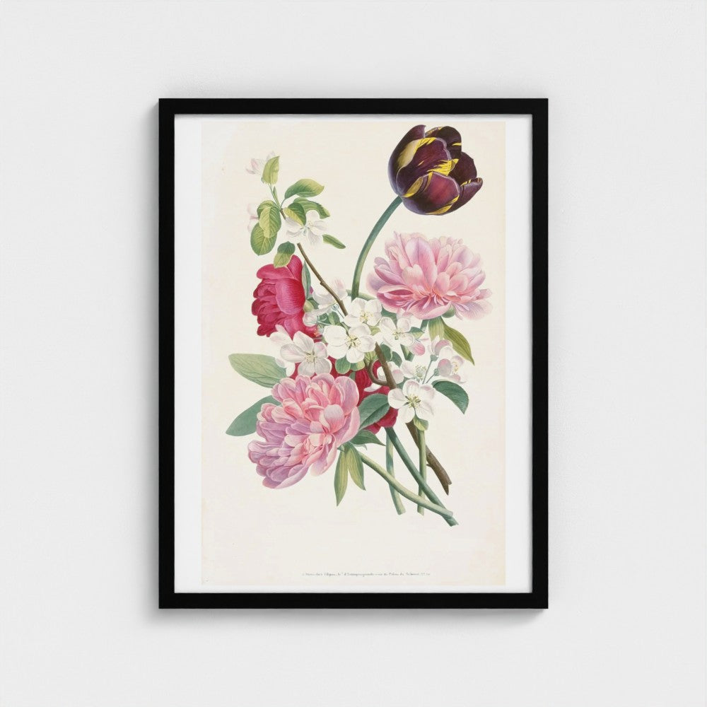 Framed botanical illustration of flowers on a white background