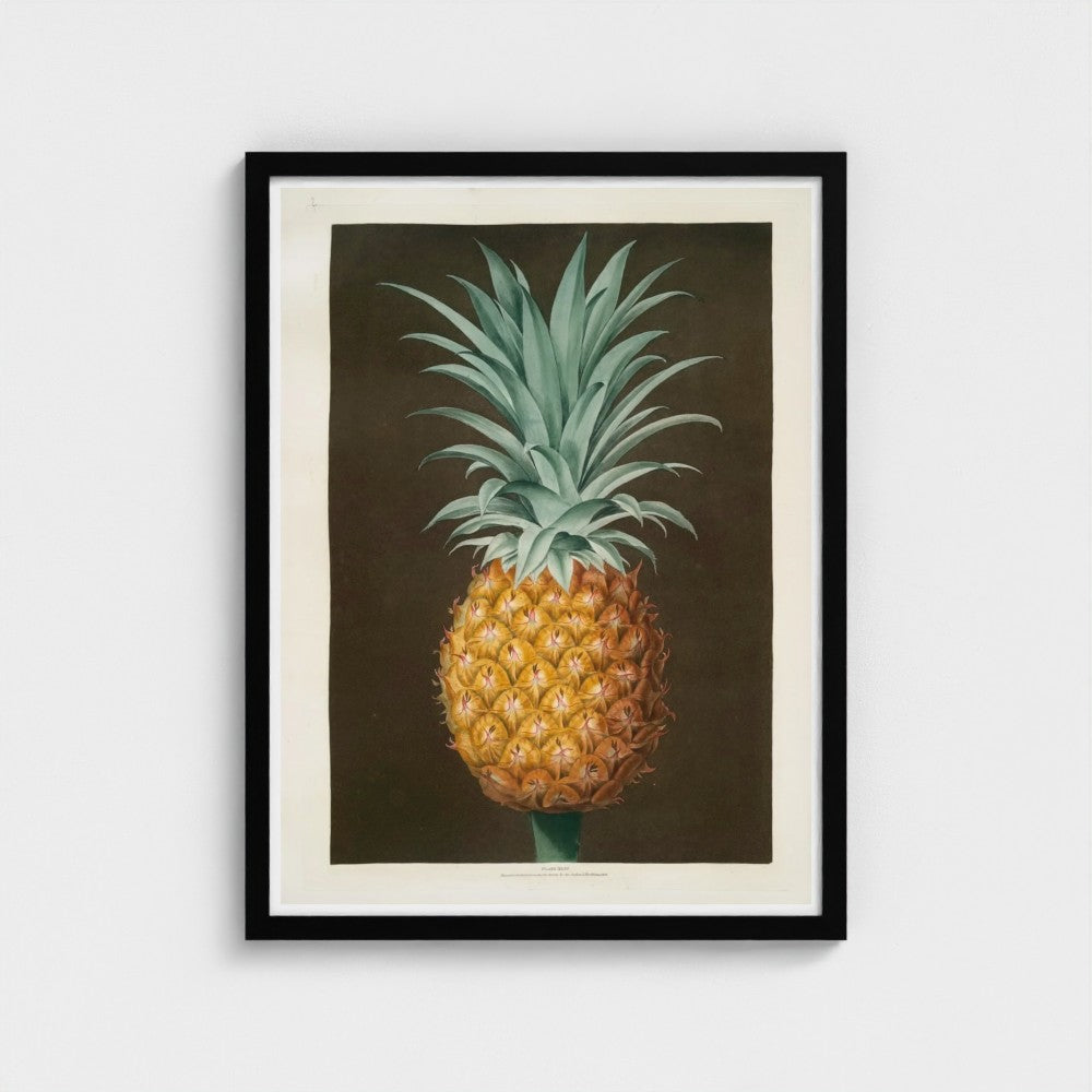 Framed artwork of a pineapple on a plain background