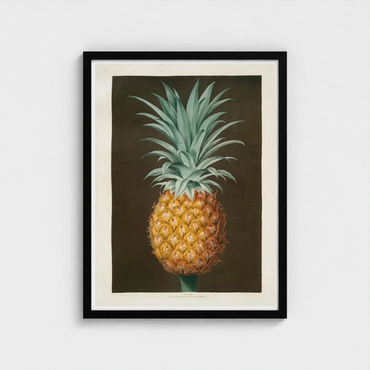 Framed artwork of a pineapple on a plain background