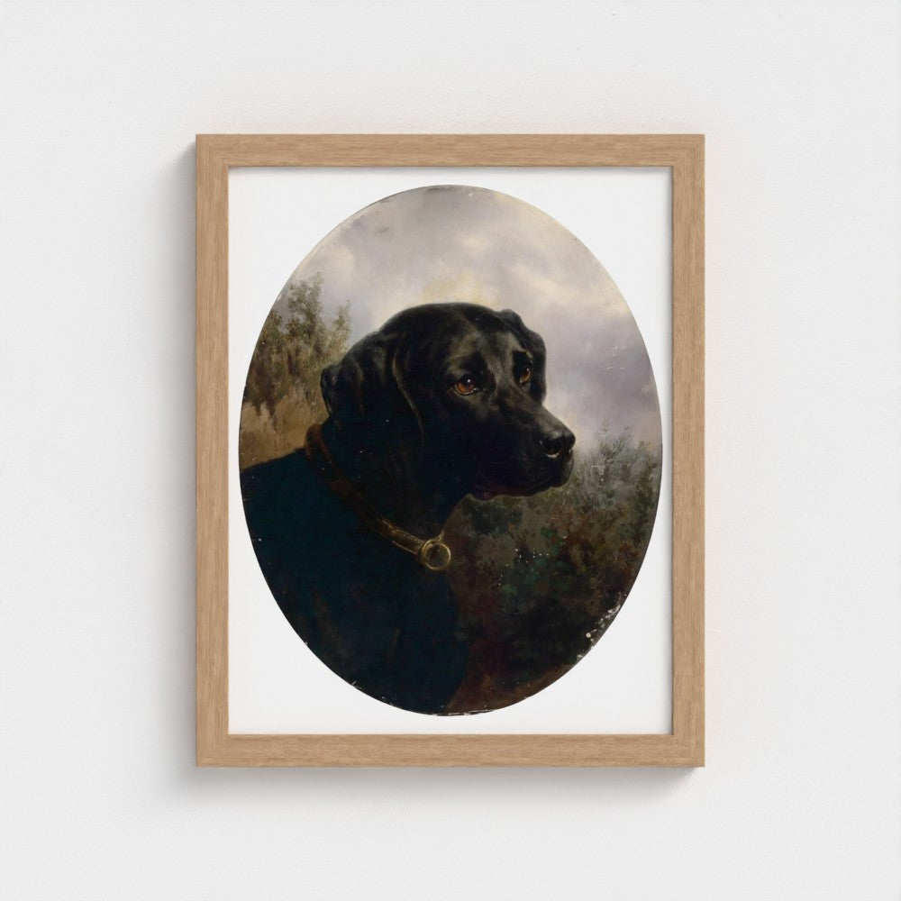 Framed painting of a black dog with a gold collar on a white wall